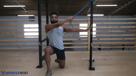 پال آراند با کش