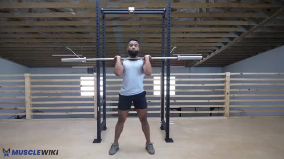 تراستر هالفت