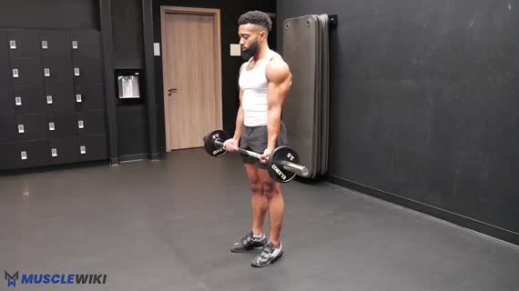 جلو بازو با هالتر EZ