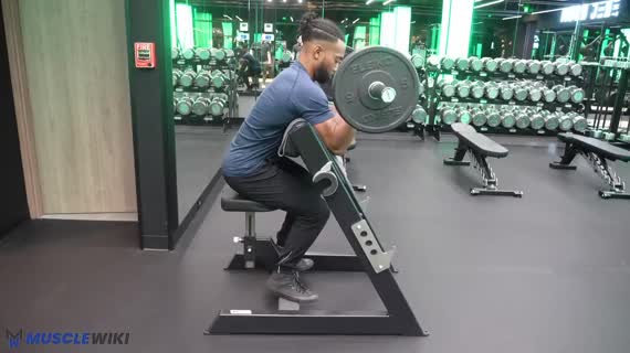 جلو بازو لاری با هالتر خم