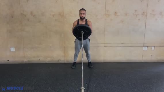 پرس سرشانه لندماین