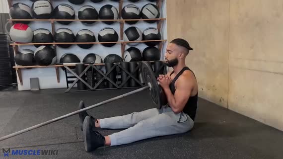 پرس سرشانه نشسته لندماین