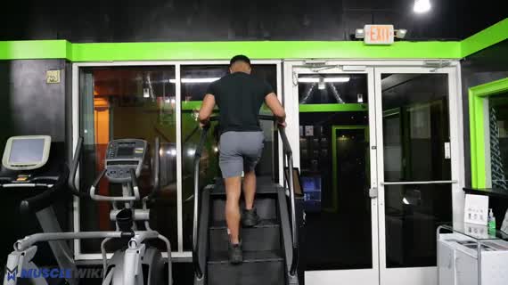 پله برقی باشگاهی