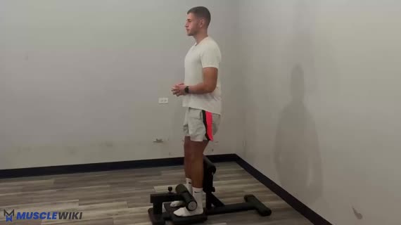 سیسی اسکات با دستگاه