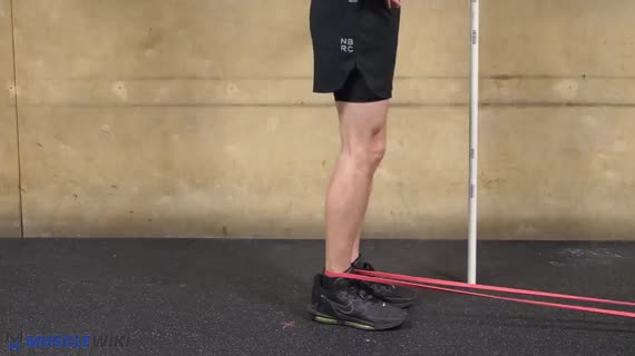 نگهداری کیک‌بک باسن با کش