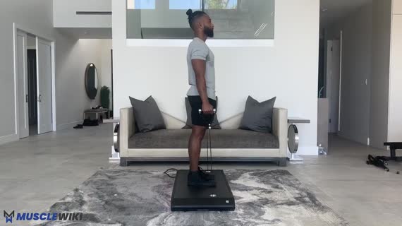 نشر جانب ویترویوین