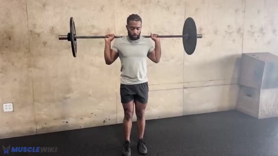 لانج مع هالتر رو به عقب