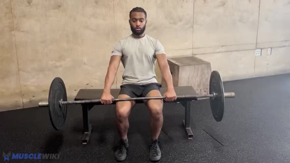 ساق پا نشسته با هالتر