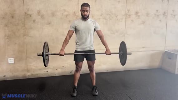 دینامیک رومانیایی با هالتر و گیرش اسنچ
