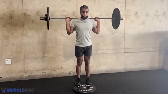 ساق پا ایستاده با هالتر