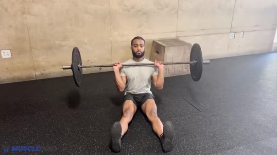 پرس زد با هالتر