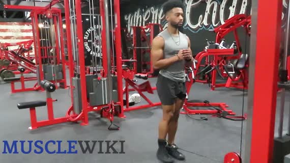 کال همسترینگ کرل (پشت پا سیم‌کش)