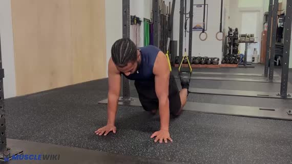 پلانک دستی TRX