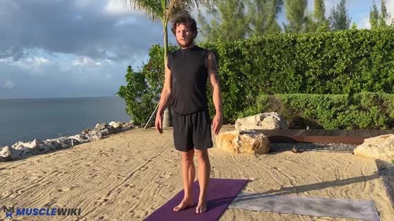 حرکت سگ سرپایین متحرک (Walk Your Downward Dog)
